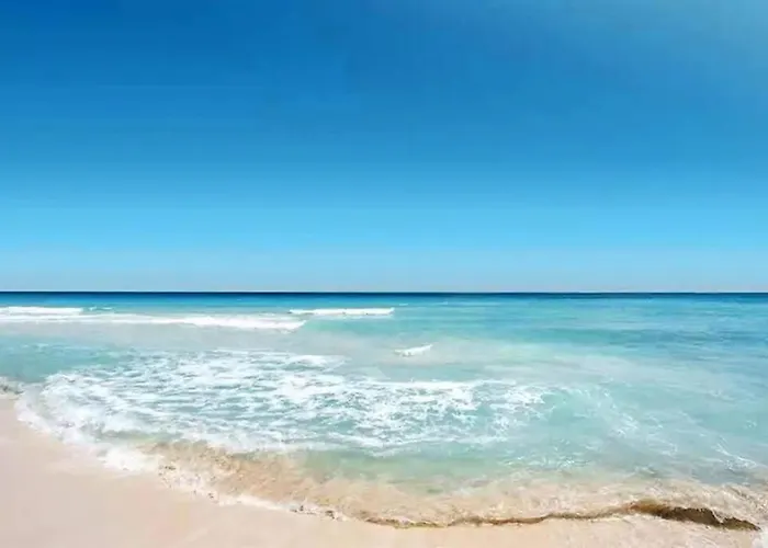 Lovely 1 Bedroom Unit Across From Lido Key Beach